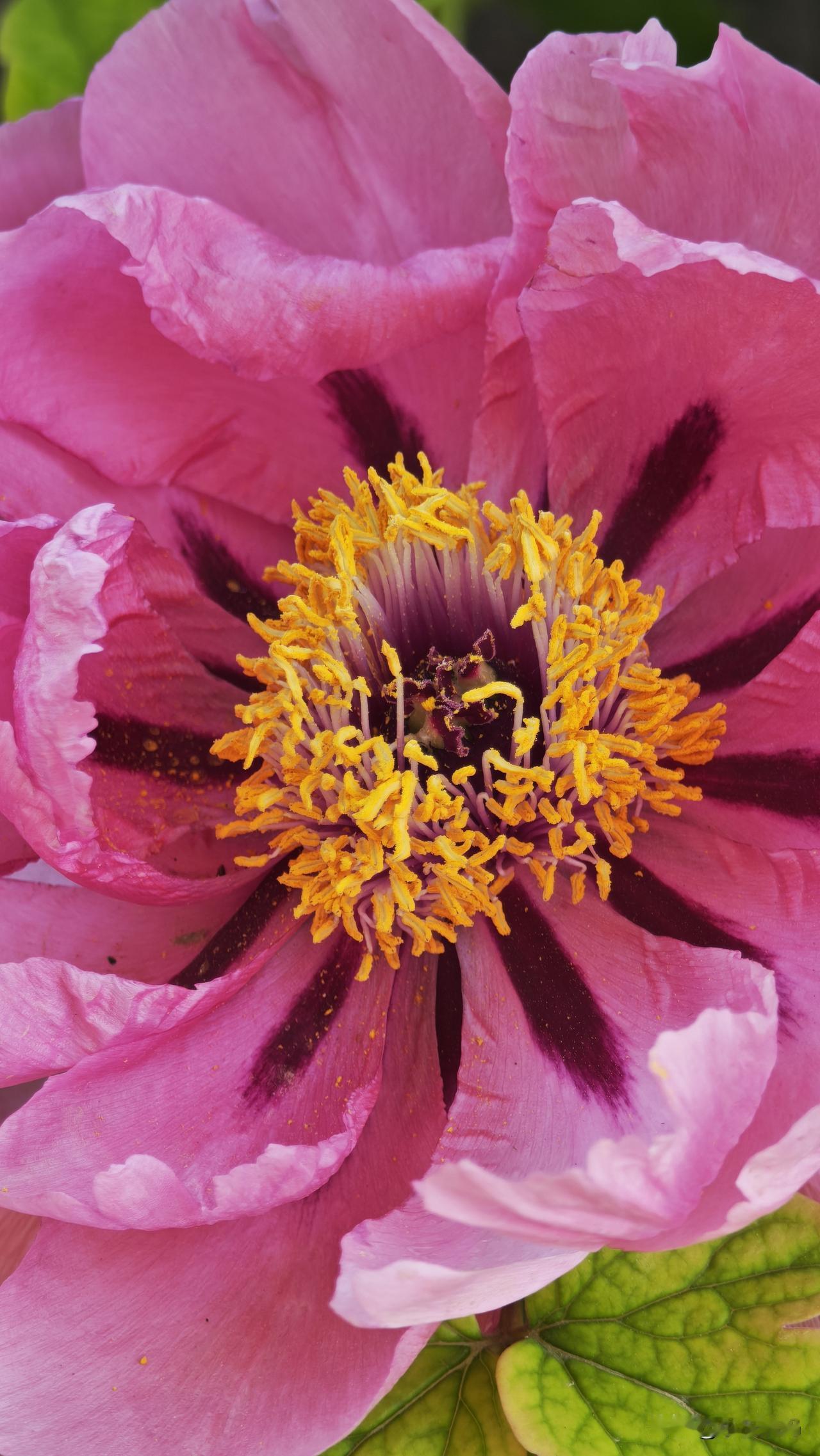 给自己一句话，你会说什么?活好当下，健康生活，快乐为本，人人生就是一场奇妙的旅程