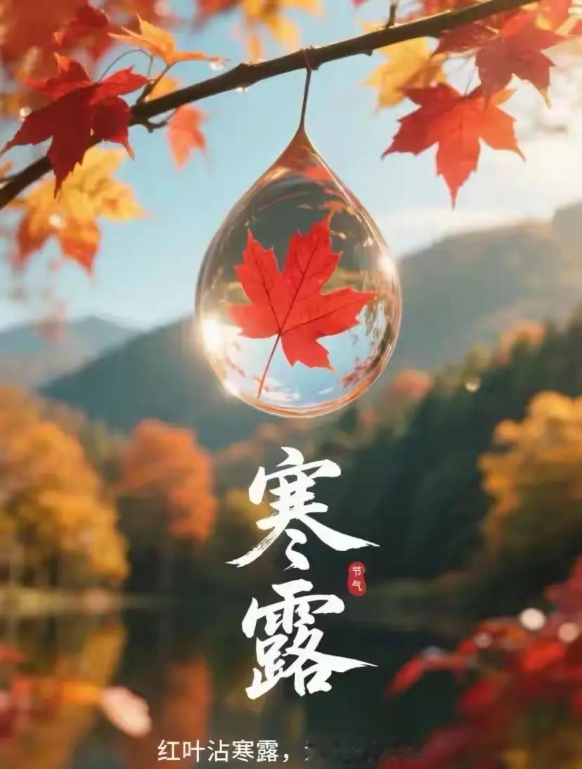 清晨最美的光景，莫过于玫瑰含露，清风温柔✨
 
一夜清露凝于花瓣，温润干净，褪去