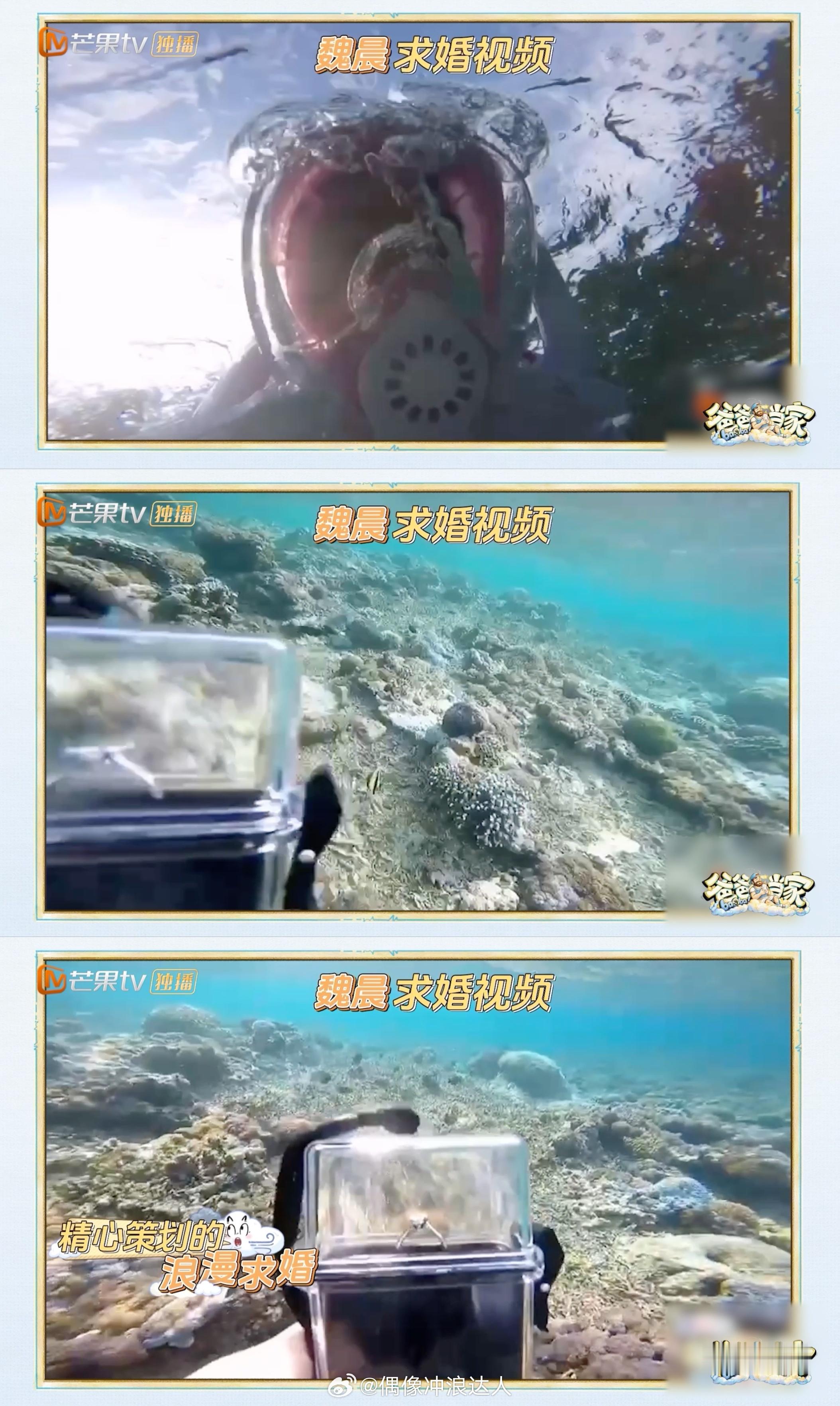 魏晨水下求婚 老婆只顾着追鱼 魏晨回忆求婚往事，海底浪漫计划惨遭 “截胡”，老婆