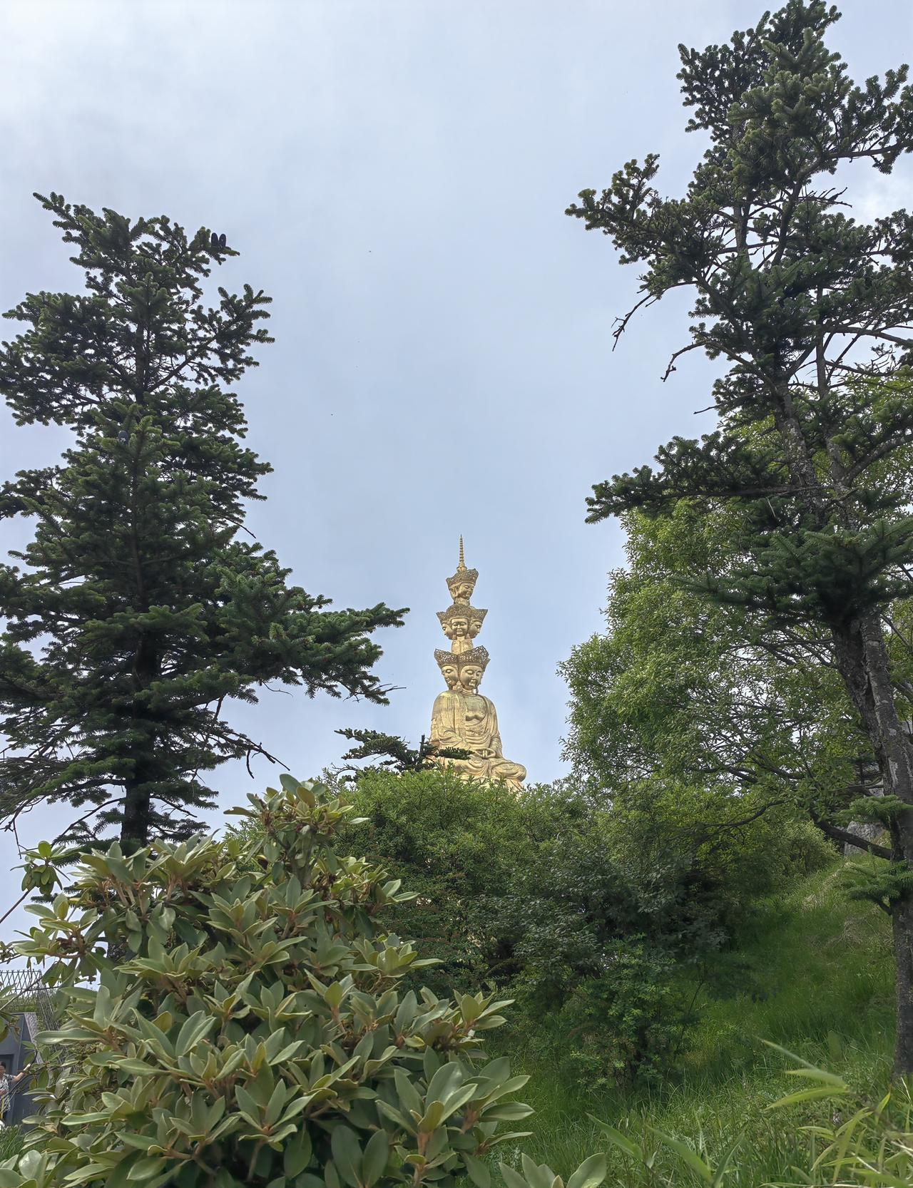 “50岁想出家，八字却说我该继续赚钱？
”老周把命盘截图发进同学群，瞬间炸锅。