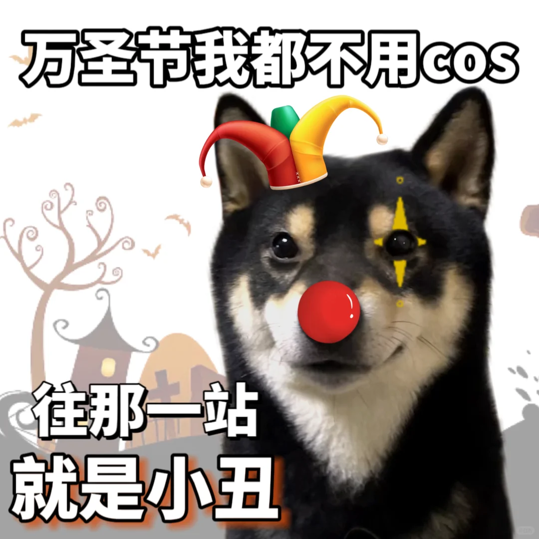 万圣节我只需要本色出演🎃