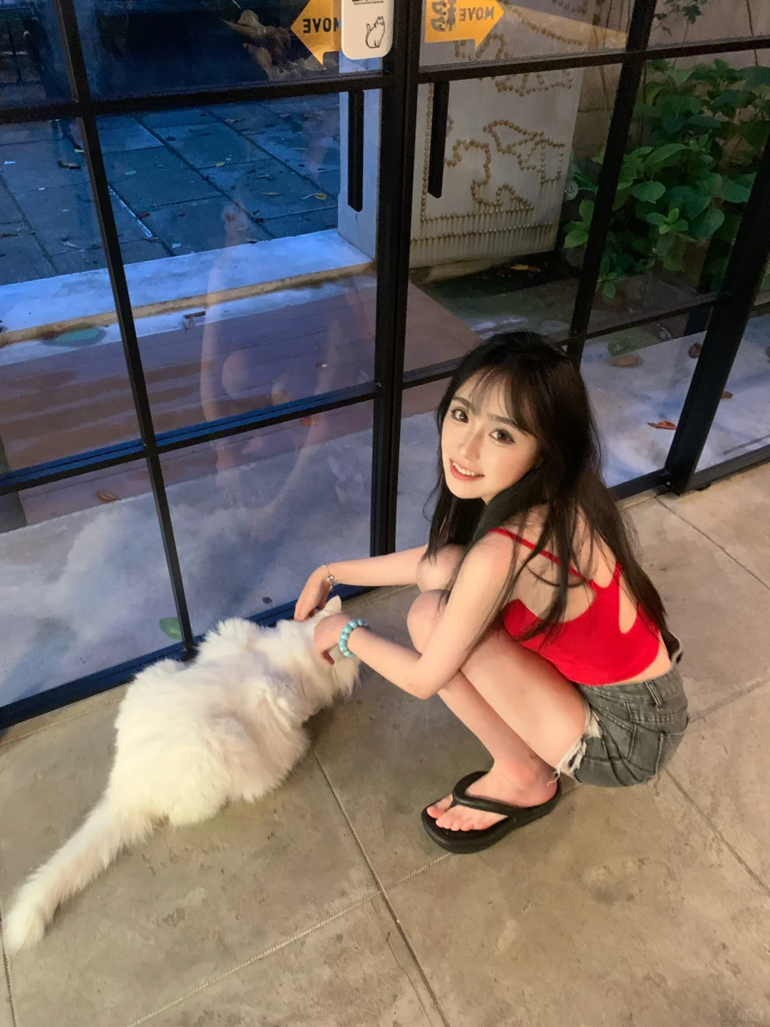 16斤的小猫 也太可爱了吧天呐