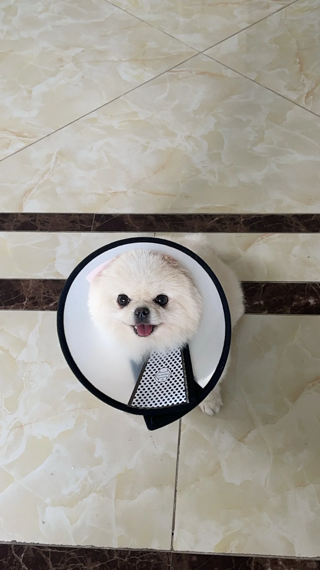 听到要断食八小时的可乐