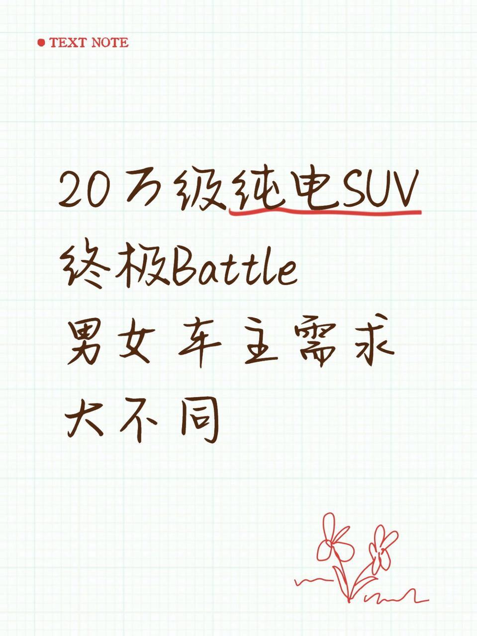 20万级纯电SUV终极Battle，男女车主需求大不同！

今年的20万级纯电S