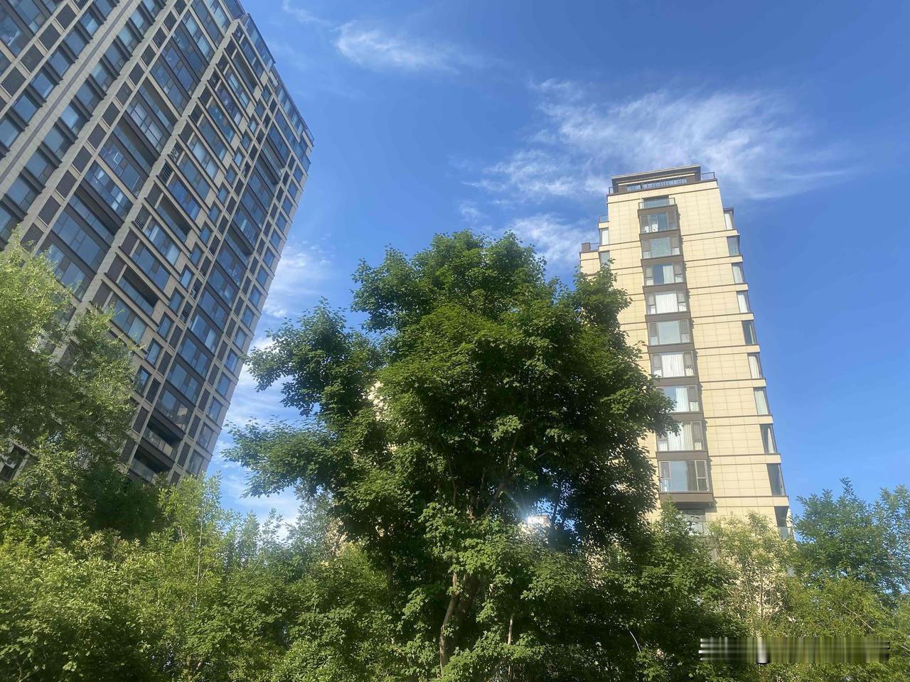晒图笔记大赛城市绿意盎然，蓝天白云，阳光洒满高楼间。