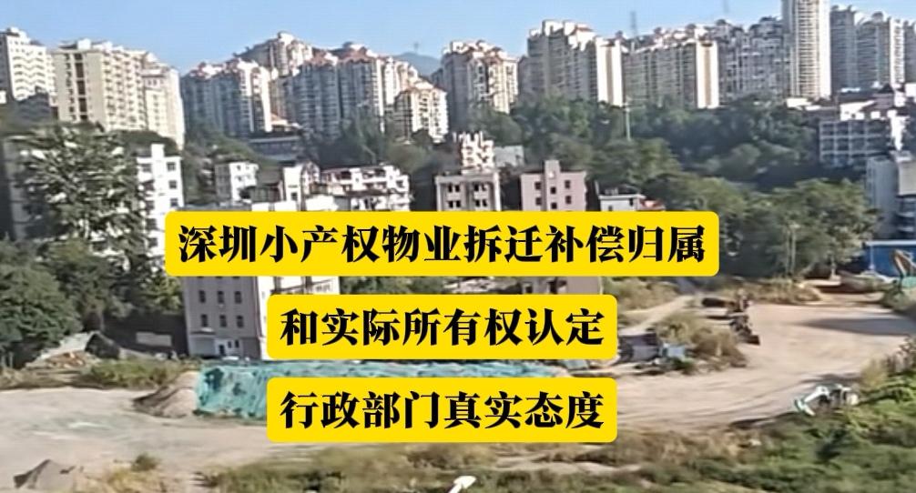 深圳历史遗留物业[住宅类]主要以城中村自建房和统建楼这两大类，大家比较关心的两个