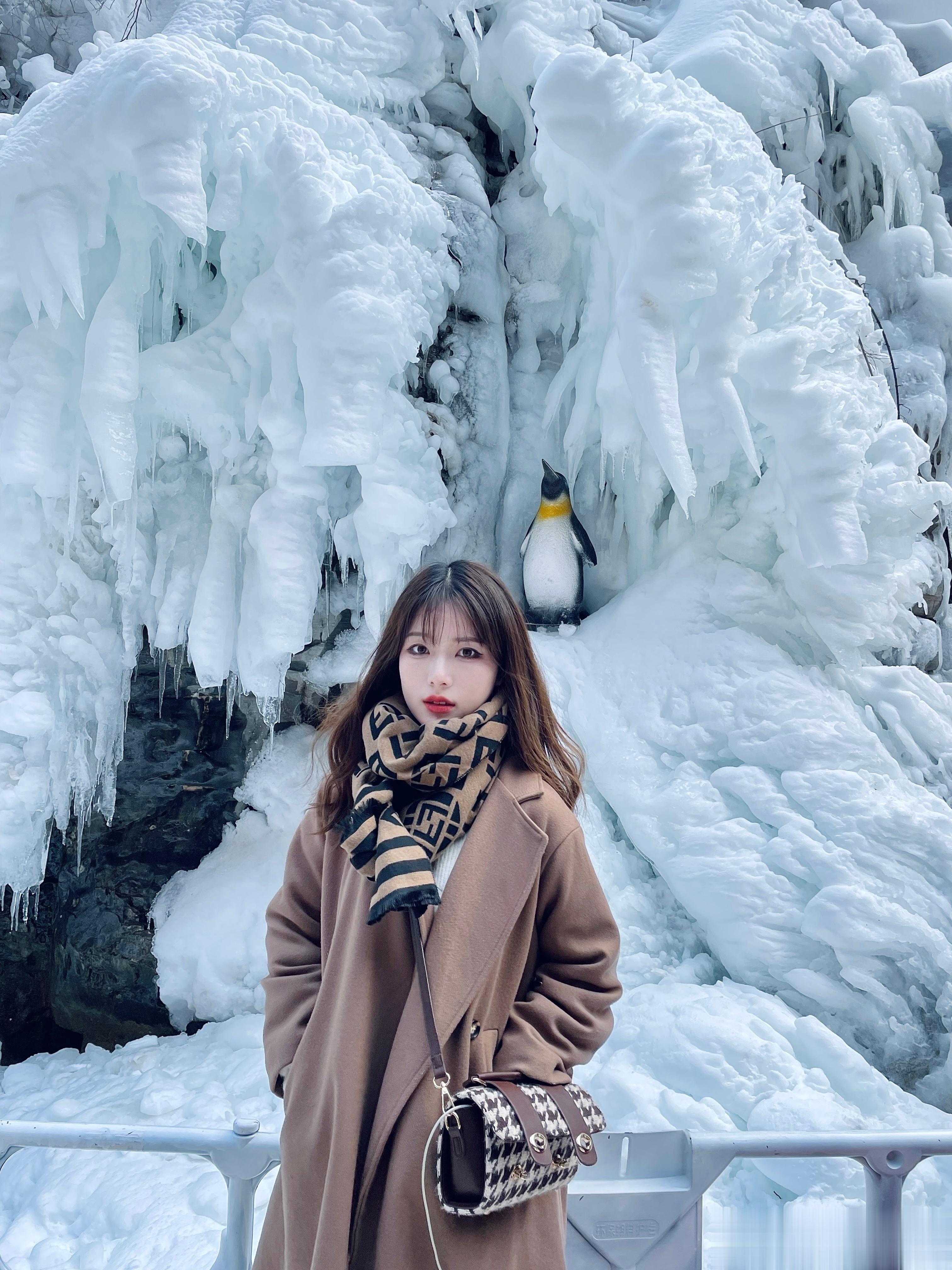 怎么办！真的超期待！#云台山冰雪节# 三千米冰瀑群太出片了！一起晒美照吧！ ​​
