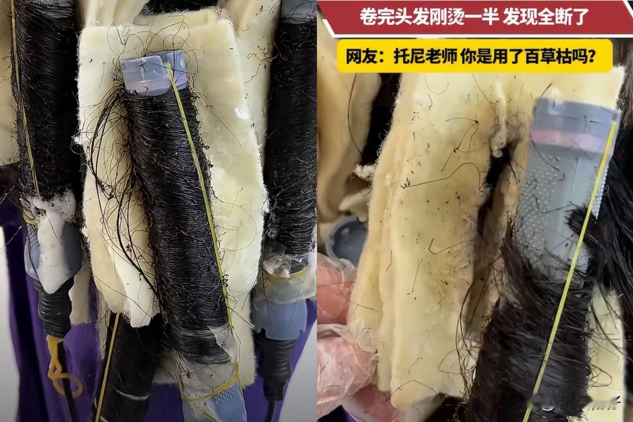 河北女子烫发中途长发成片断裂，不是发质差，理发师赶工违规操作

不少女生留长发就