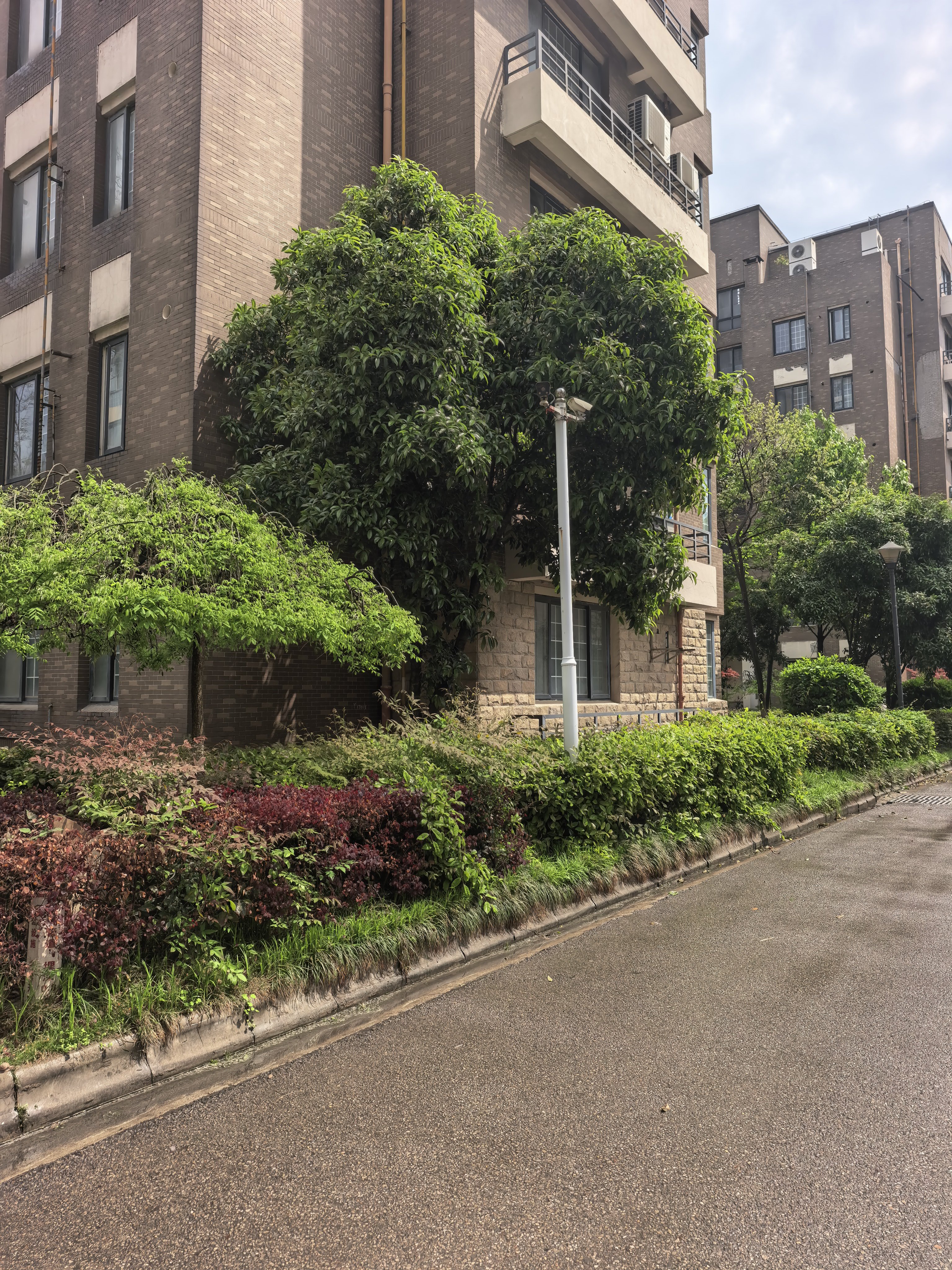 雨终于停了……太阳出来了！