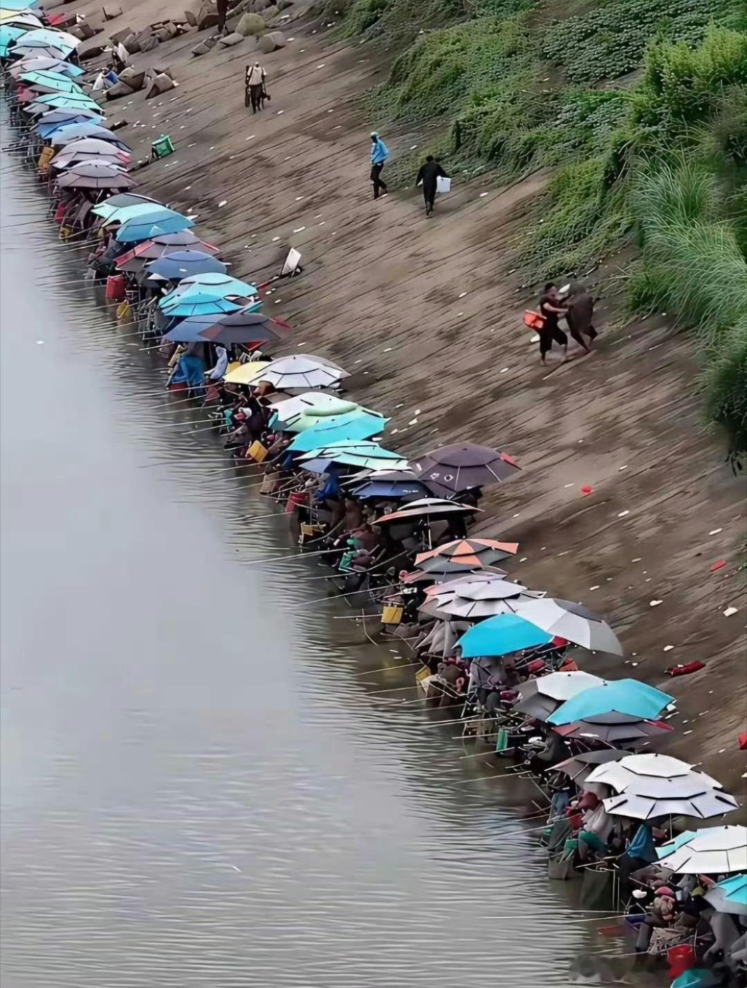 如果在这里做生意，你说卖点什么好？ ​ ​​​