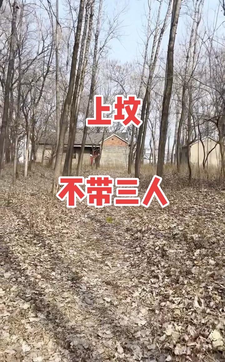 🏃感受大自然的气息🍀