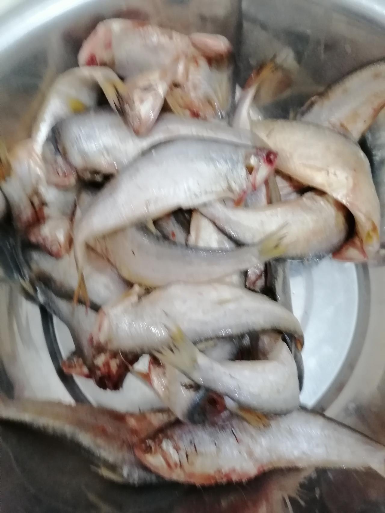 又是一顿美餐，这种鱼在我们老家叫马口，至于到底是“麻口”还是“马口”，并没有明确