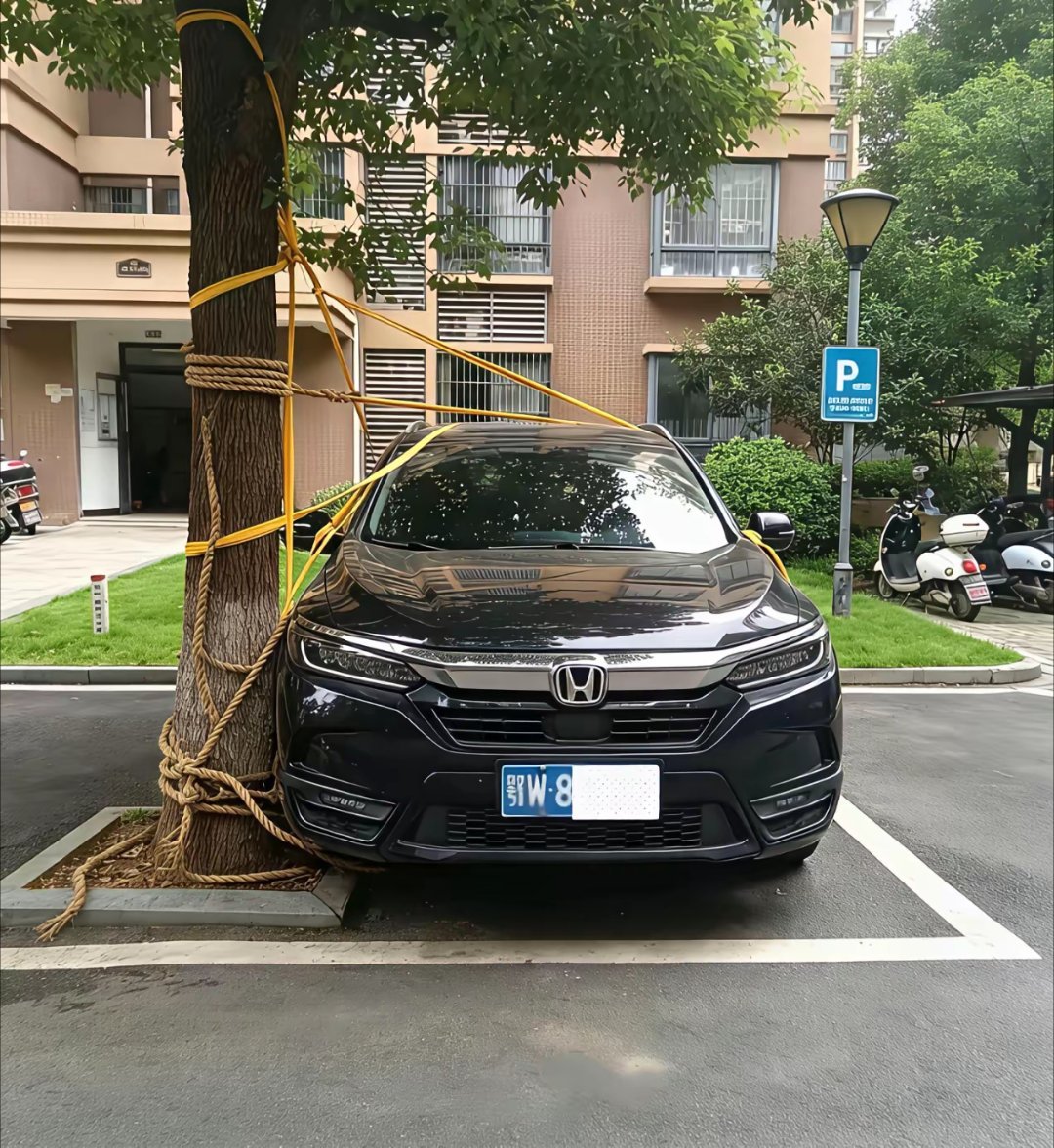 台风巴威。被台风逼得快疯了的车主。 