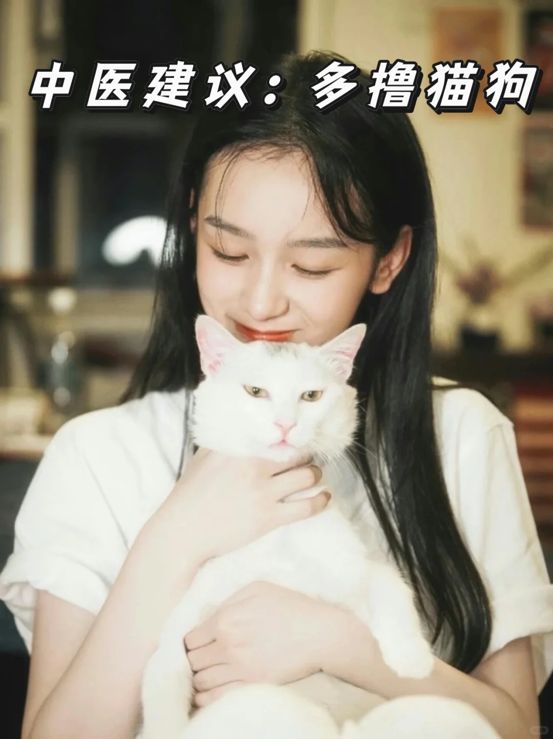 学了中医才知道：跟猫狗玩是大补