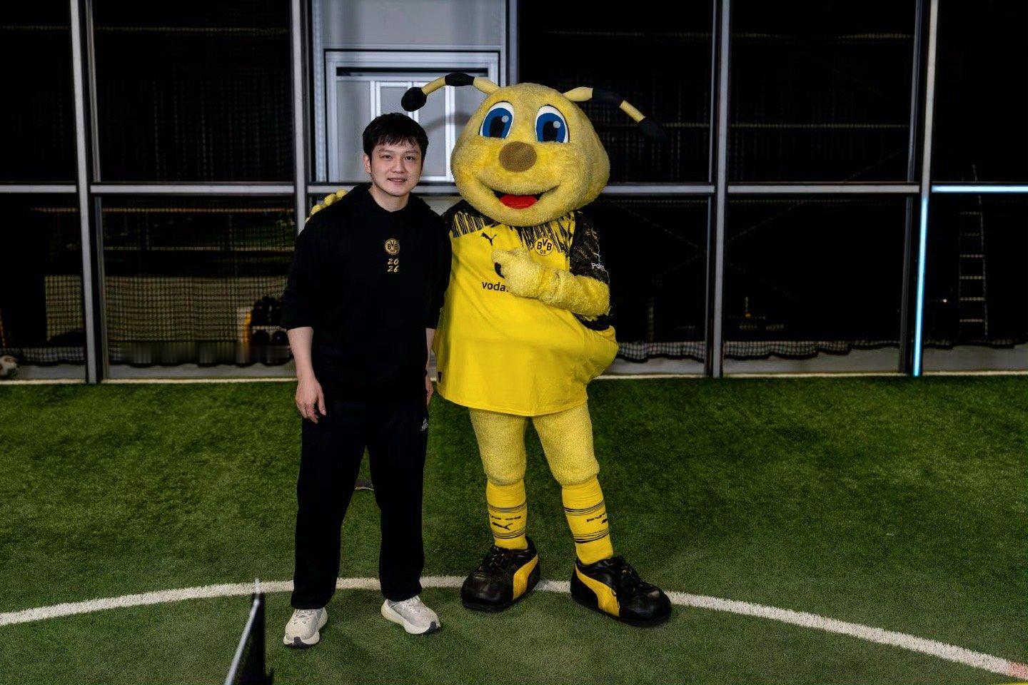 樊振东和多特吉祥物打乒乓球 起猛了，樊振东教多特蒙德俱乐部吉祥物小蜜蜂打乒乓球多