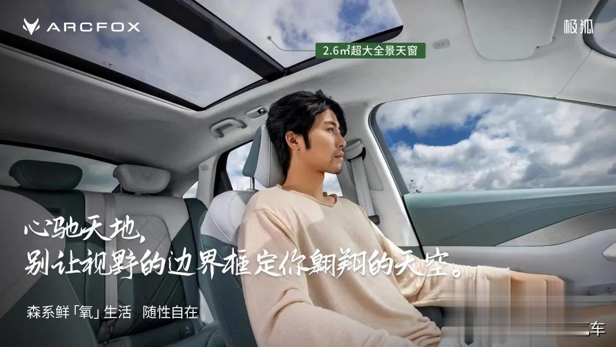体验全新极狐阿尔法S森林版和阿尔法T森林版
拥有极狐阿尔法S森林版和极狐阿尔法T
