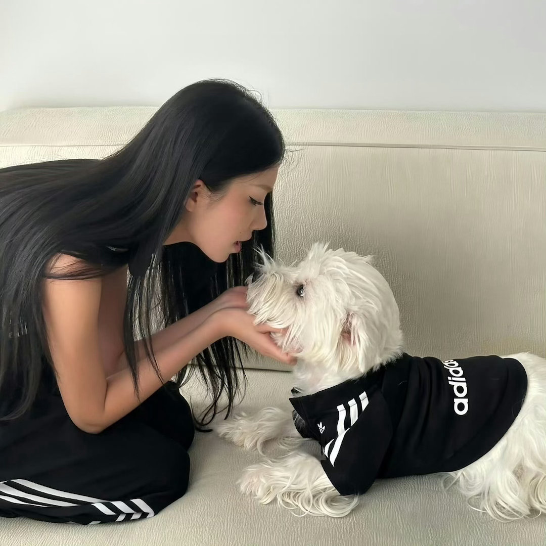 上天给我什么 我就享受什么 上天让我失去什么 我就放下什么 