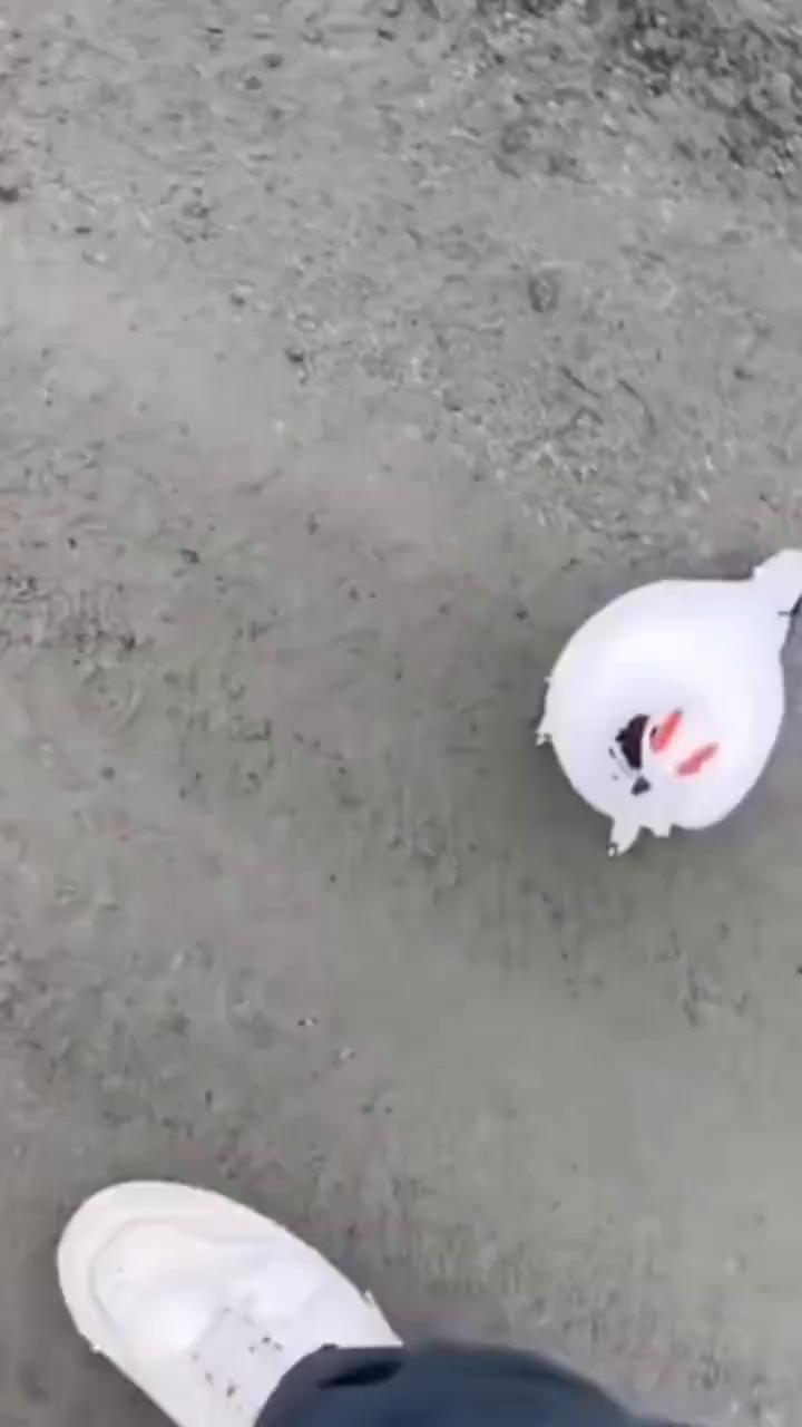 哈哈哈哈。