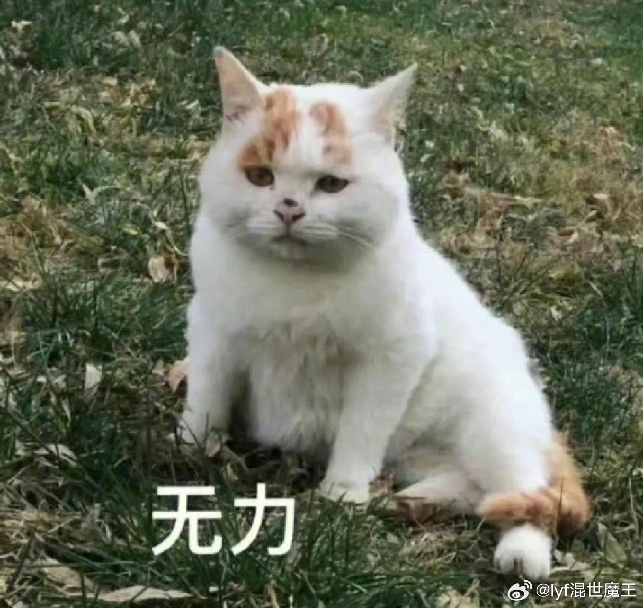 唉 某人不在家 还有7点不到就给我打电话嗯美伢 