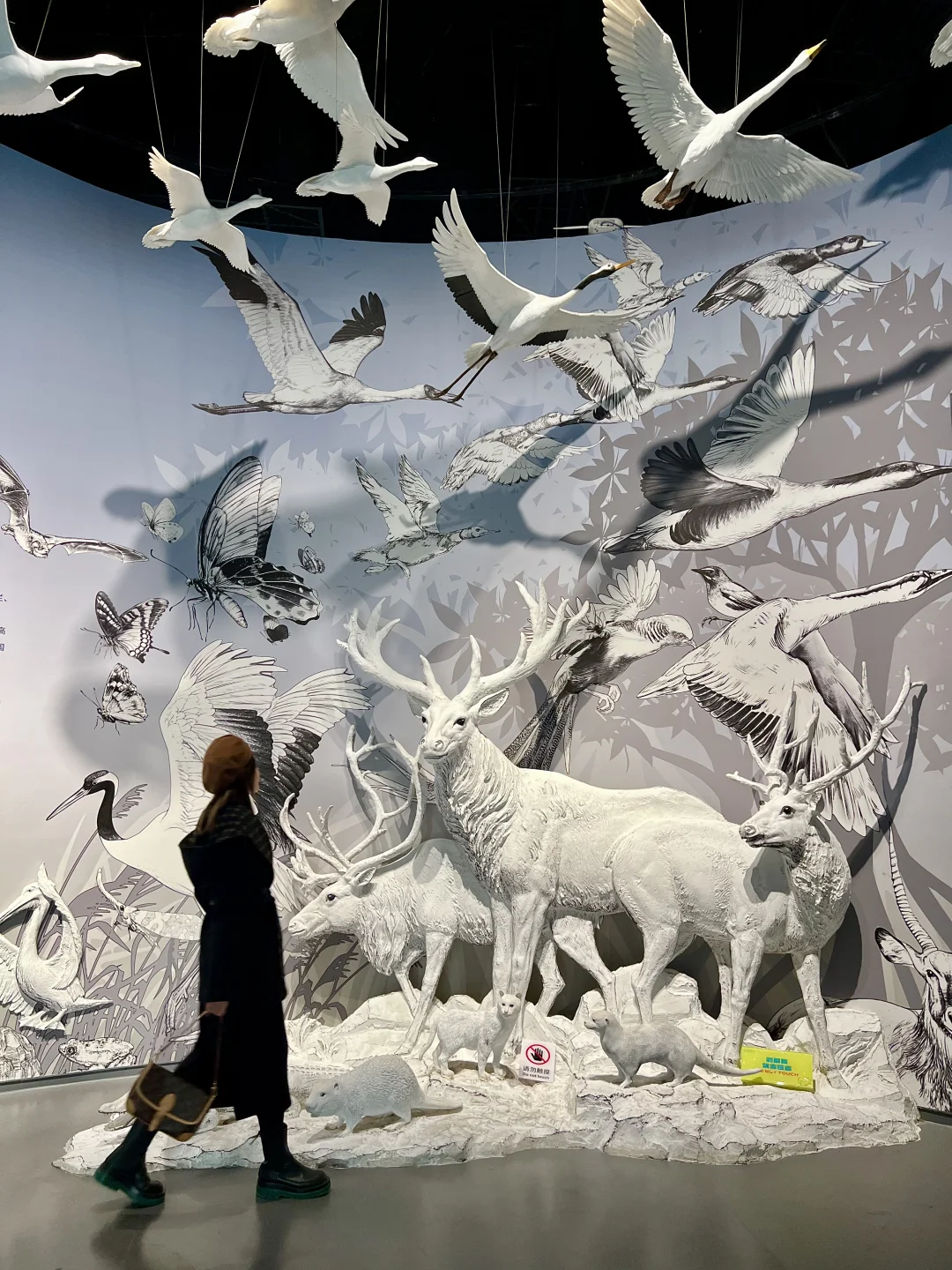 来杭州就去这‼️杭州西溪博物馆美的很彻底😭