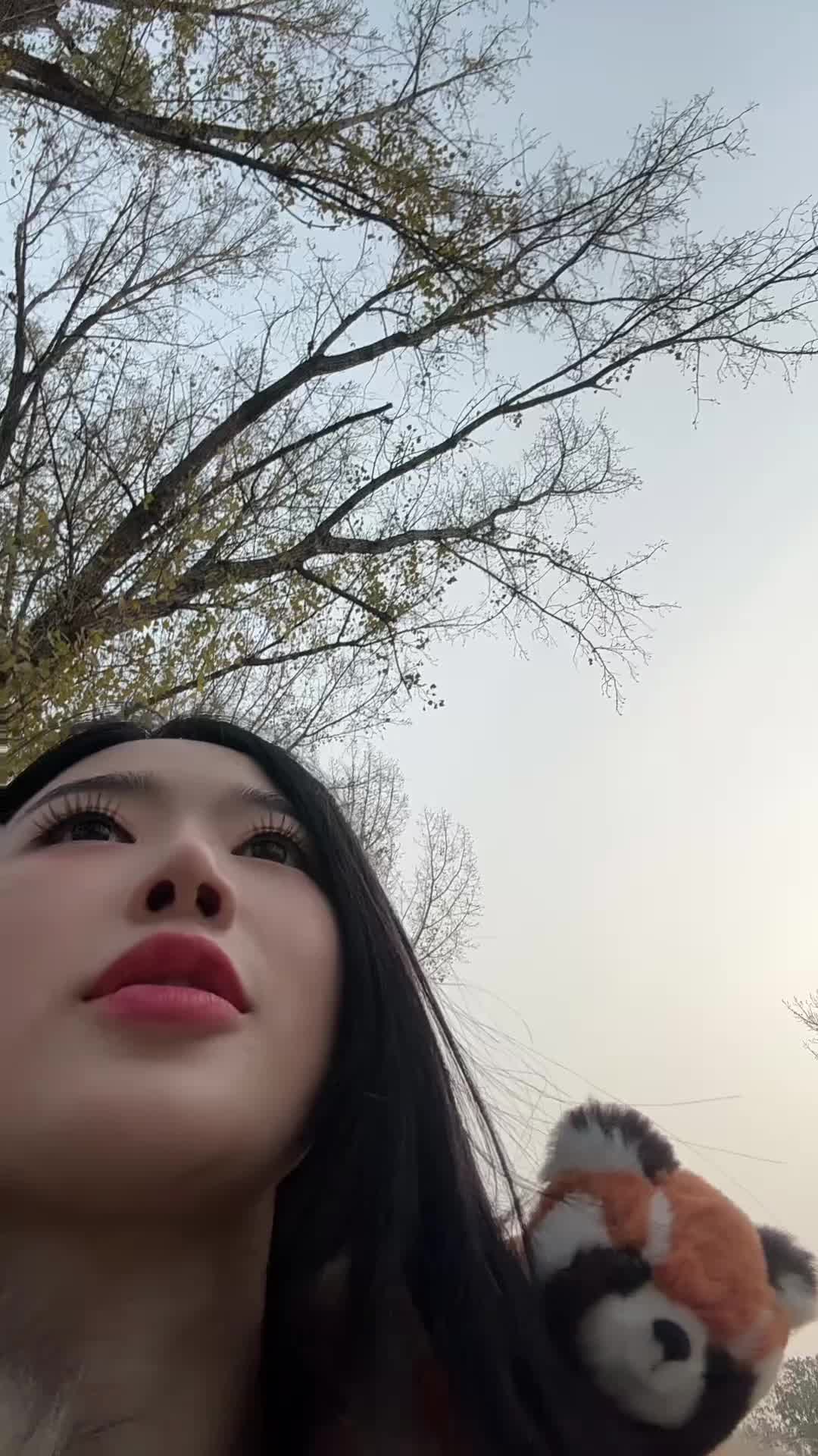 小熊猫真的太可爱啦