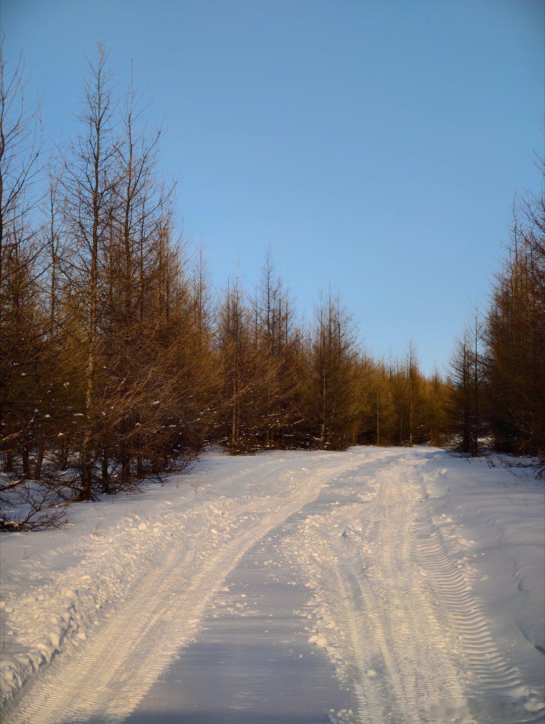 捷途冰雪穿越果然没毛病捷途旅行者捷途旅行者cdm我和汽车的日常 牙克石