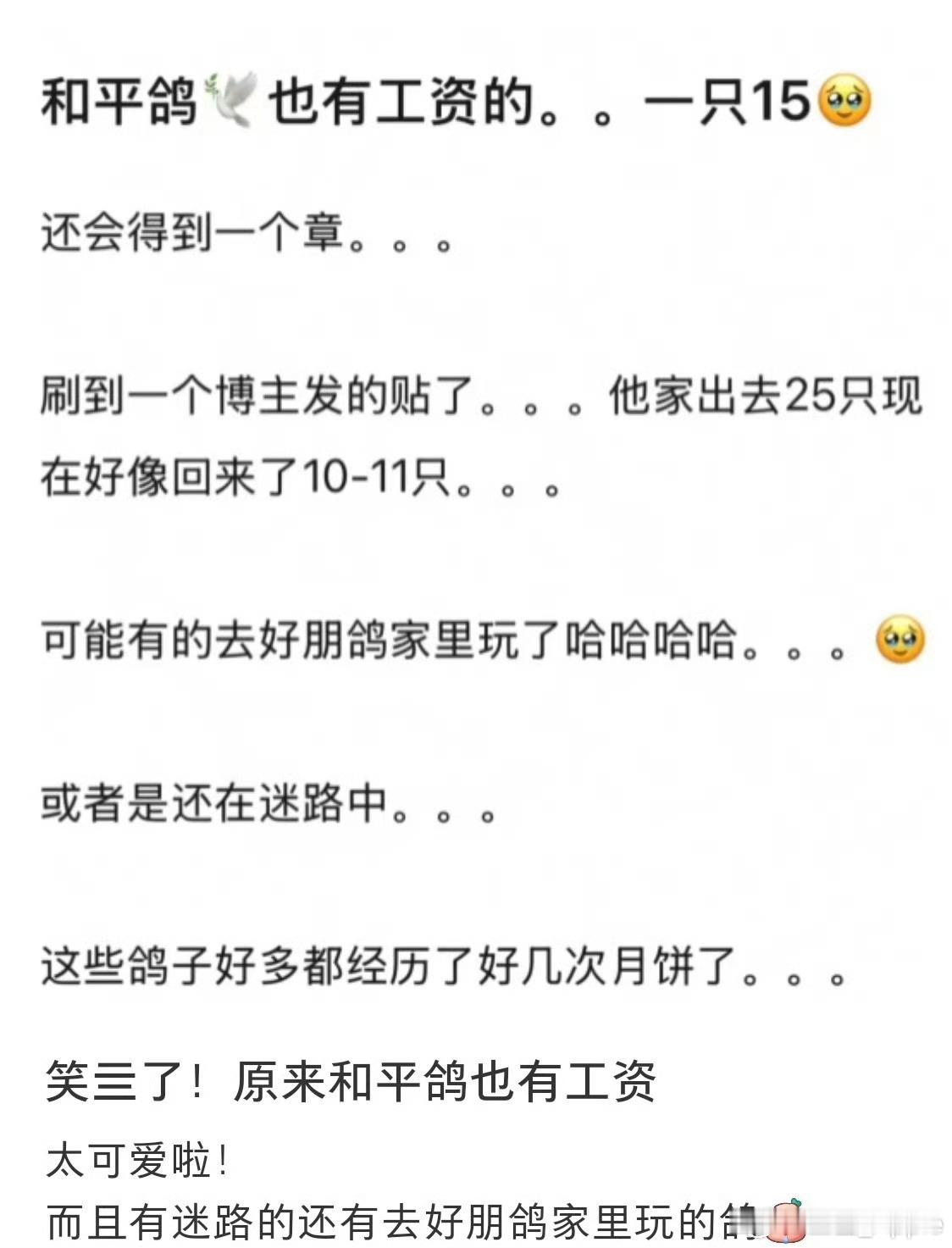 和平鸽工资15元笑鼠哈哈哈 希望小鸽子回来还是小鸽子 不是烤乳鸽[哈哈] ​​​