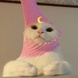小嫩芽捧体育