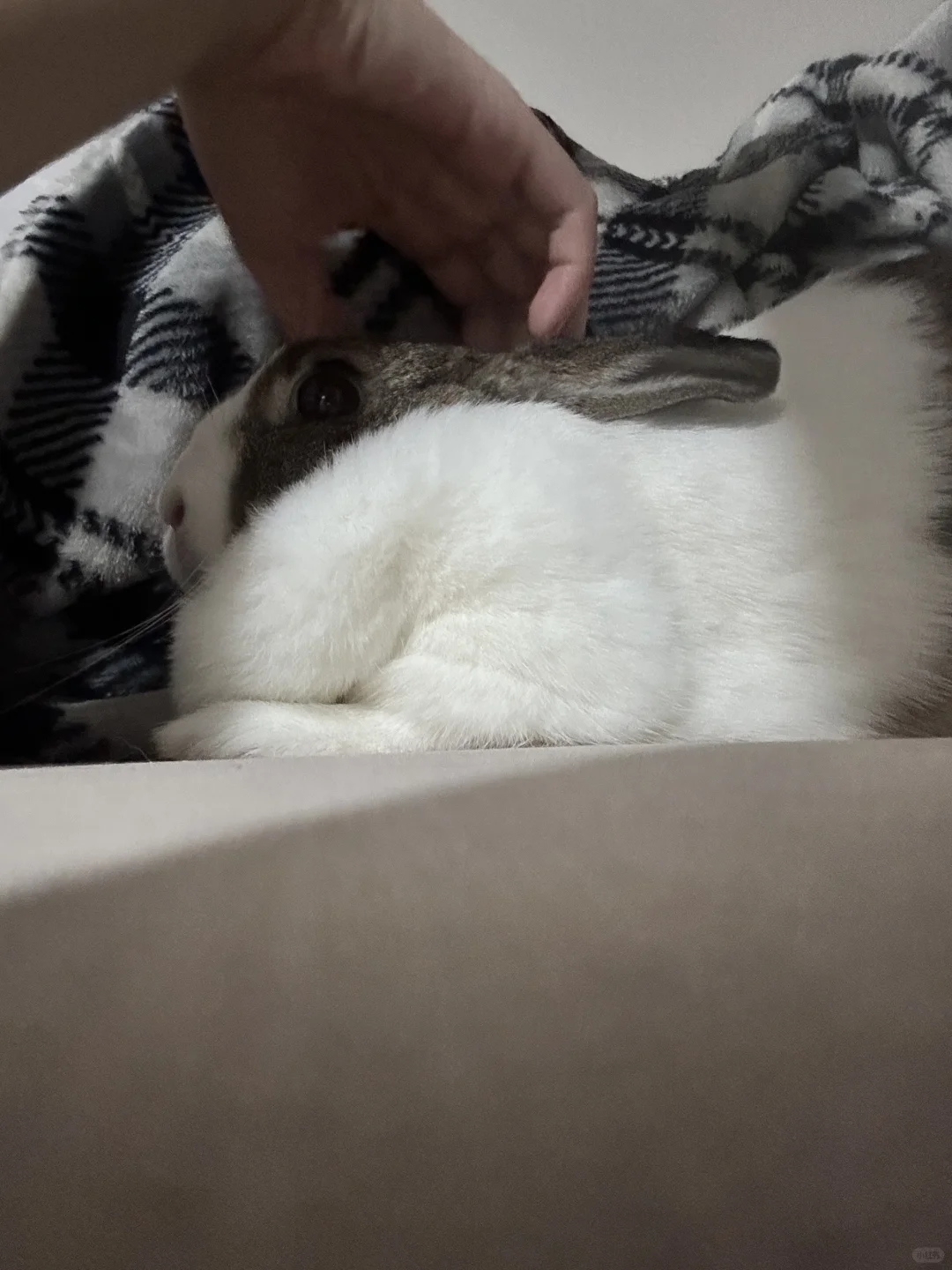 麻麻按头还不乐意