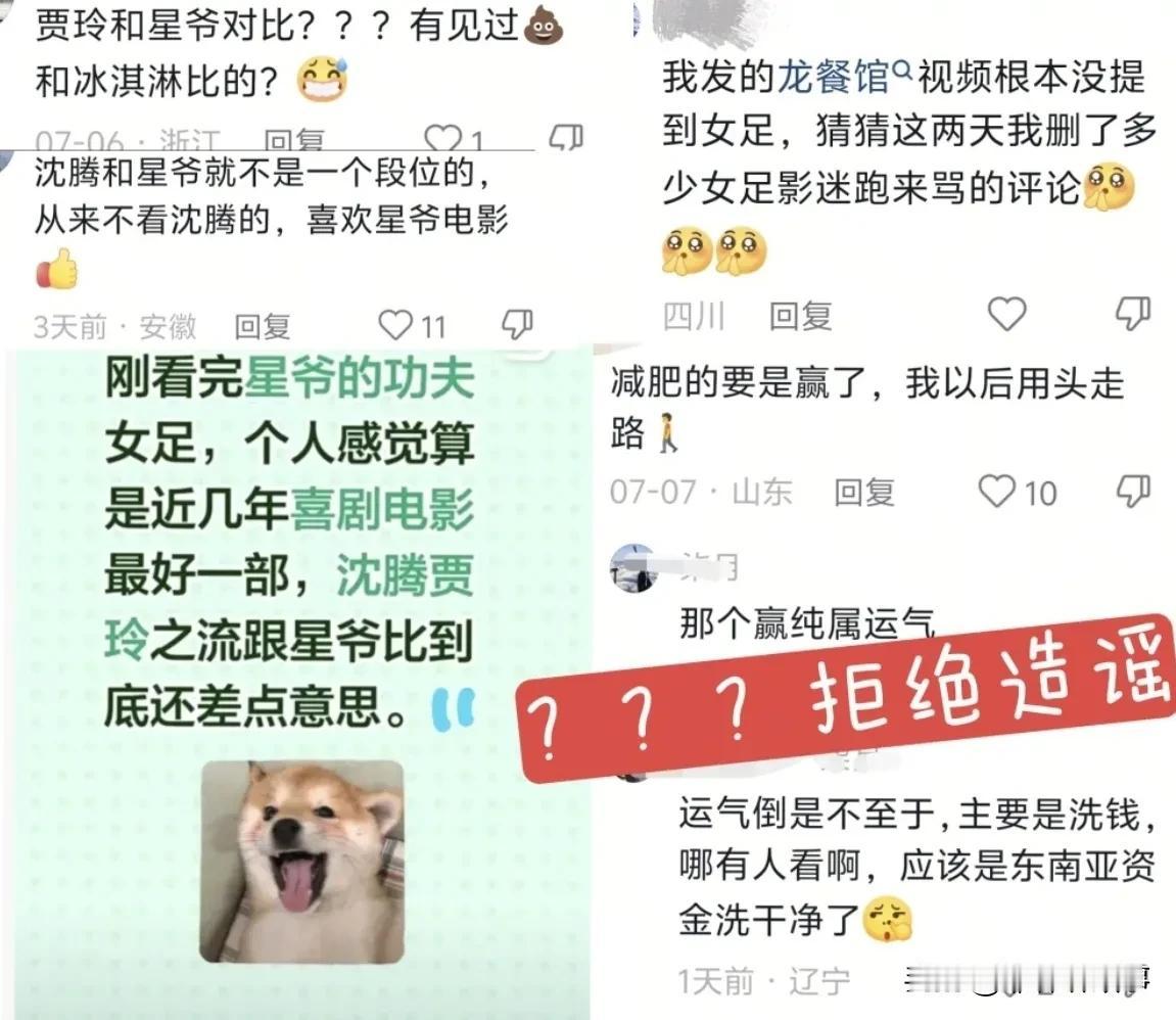 实在不能理解，电影圈的粉丝素质，怎么就开始贬低沈腾和贾玲了，特别是贾玲，她也是周