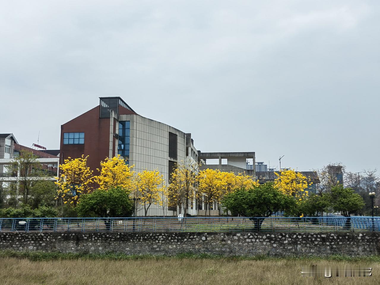 山高云作伴
人老爱为乡

人有爱情自芬芳，爱的对象可以是人，也可以是物，是自然，