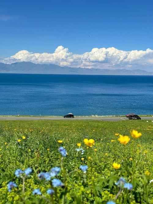 发一张图证明我在新疆？那我可得好好说道说道。我随手一拍，那可能就是赛里木湖。它可