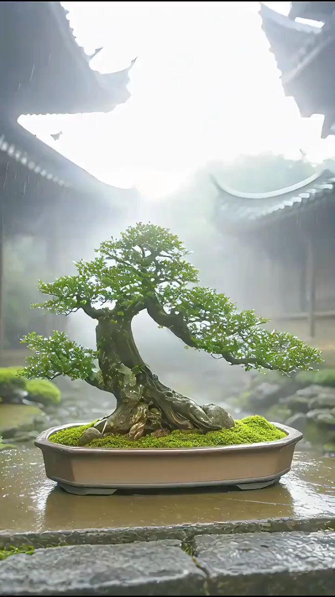 父母越“不客气”，孩子越孝顺！这3个真相，90%的家庭都忽略了
 
打开社交媒体