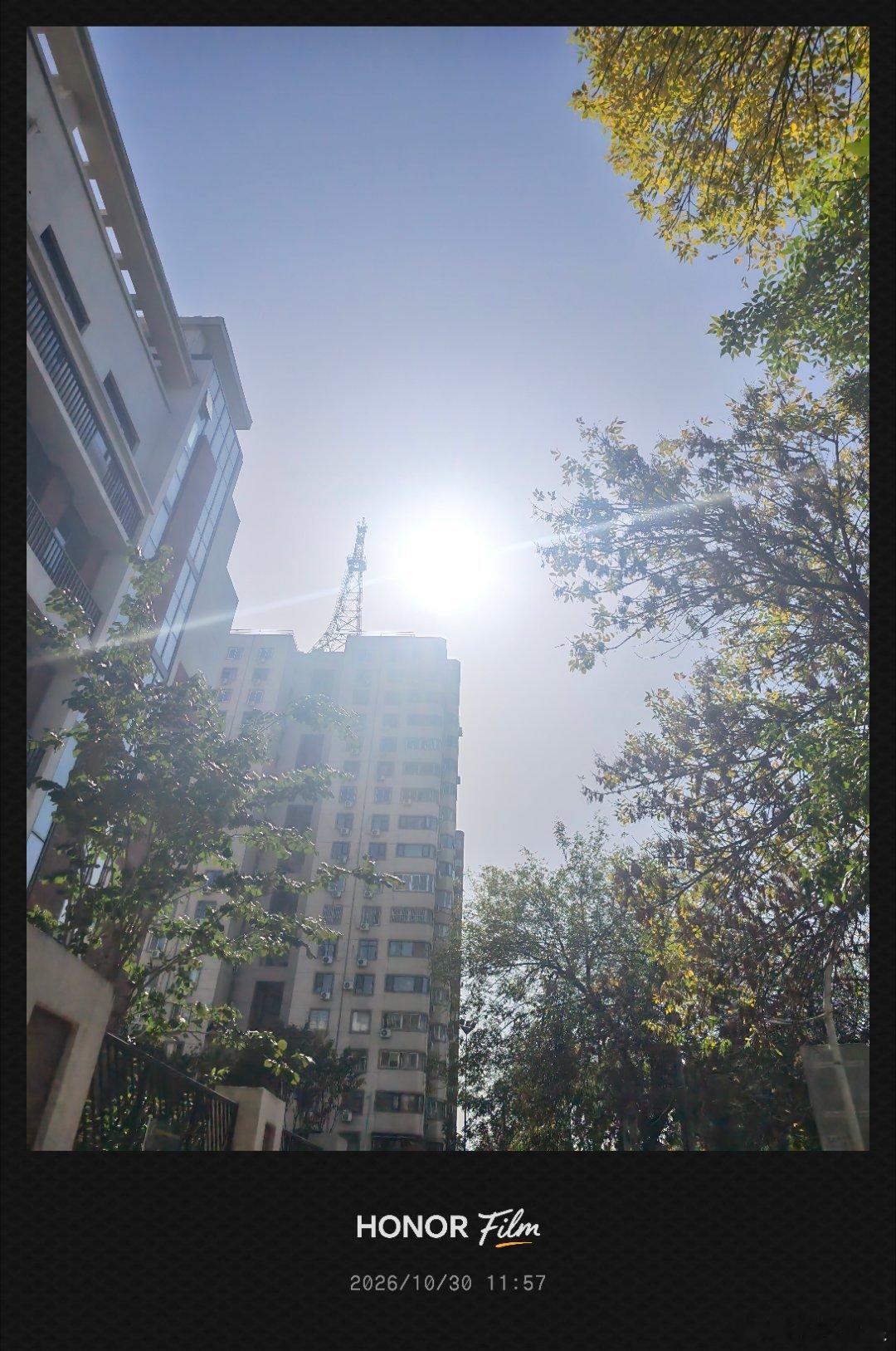 中午的晒眼打卡，只要有太阳，必晒… ​​​