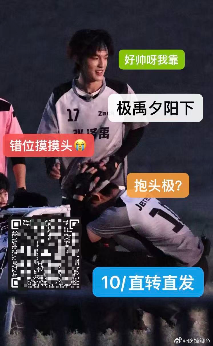 我有点姐狗了 