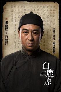 电视剧《白鹿原》对白嘉轩美化了很多。原著中白嘉轩娶了七个妻子，而且他对于每个妻子