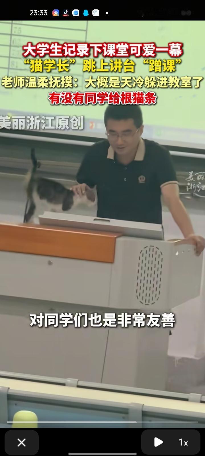 10月22日，福建福州。大学生记录下课堂可爱的一幕，“猫学长”跳上讲台“蹭课”，