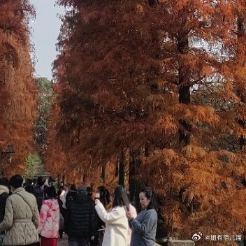 我今天在地铁上看到一对老夫妻。老太太站着，老爷爷坐在座位上，他拍了拍自己的腿，示