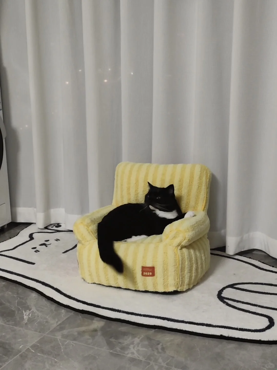 虎鲸和他的王座