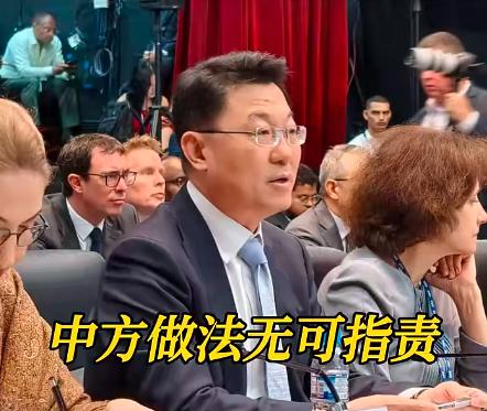 6月23日，中国驻美大使谢锋在巴拿马出席驻美洲国家组织成员国与观察员国对话会时，