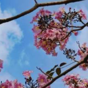 每日一善每日一善 无论有多困难，都坚强地抬头挺胸，人生是一场醒悟，不要昨天，不要