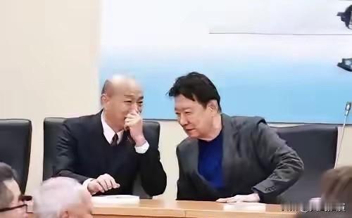 赵少康再呛季麟连要求辞去国民党副主席的职务    韩国瑜回应

国民党内部现在吵