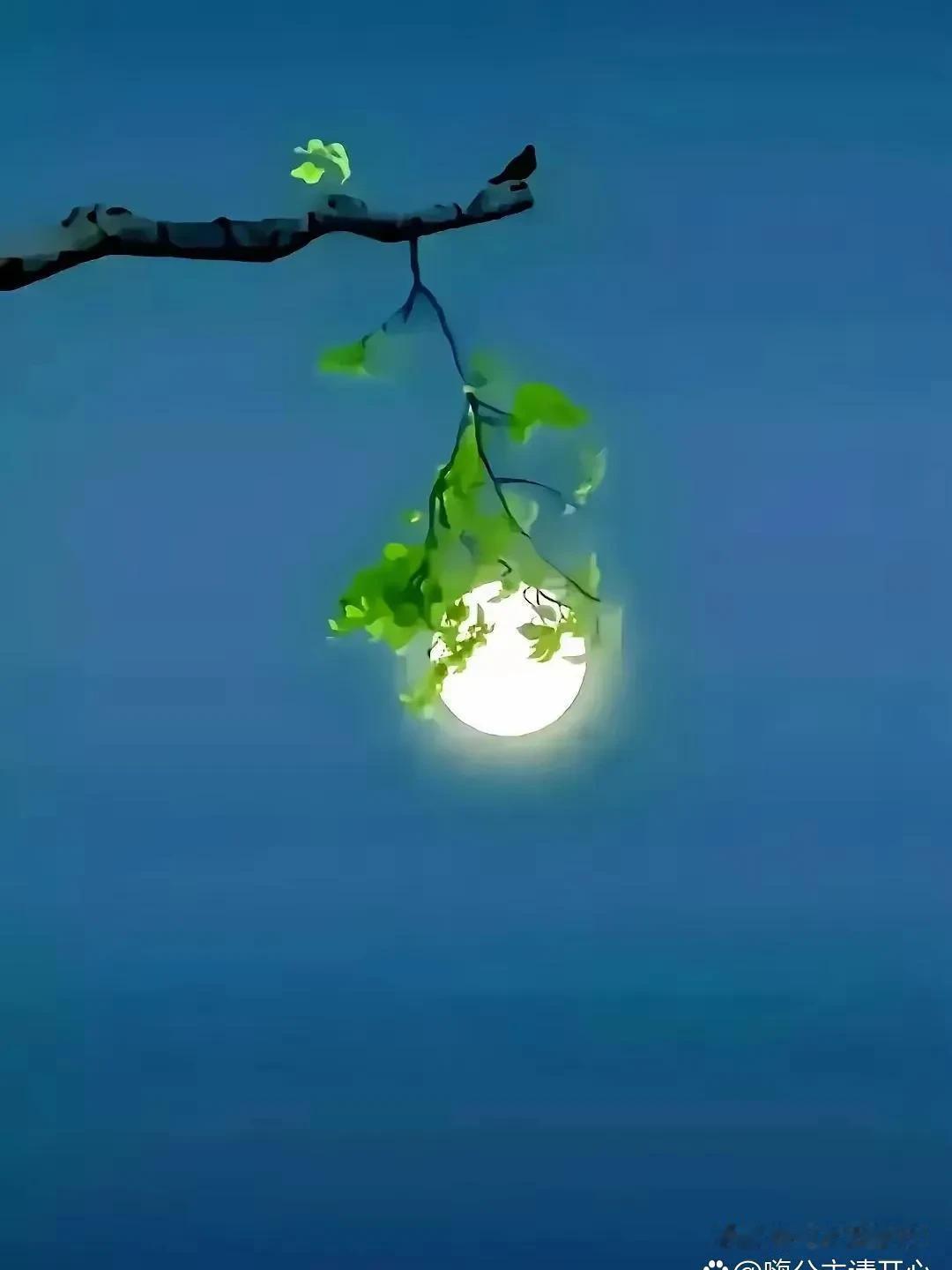 
四十岁以后，才能明白的道理

第一，当你感到压力大，觉得不顺心的时候，你
就去