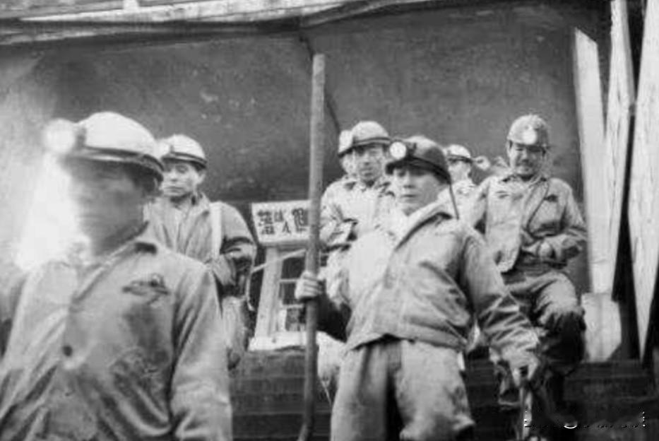 中国人在日本当13年野人，回国后却不被承认

一个中国人，在日本北海道的深山里当