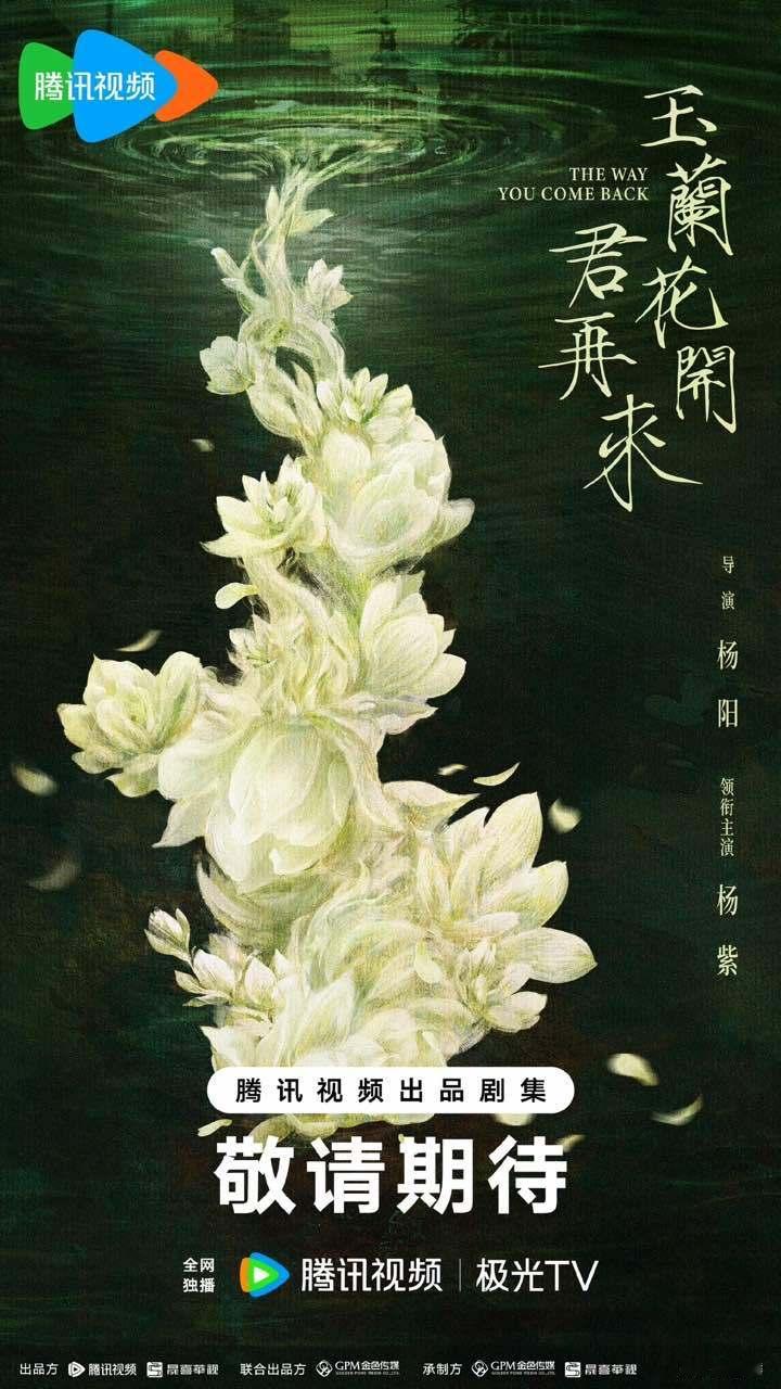 杨紫玉兰花开君再来单人官宣玉兰花开君再来概念海报 杨紫玉兰花开君再来单人官宣，概