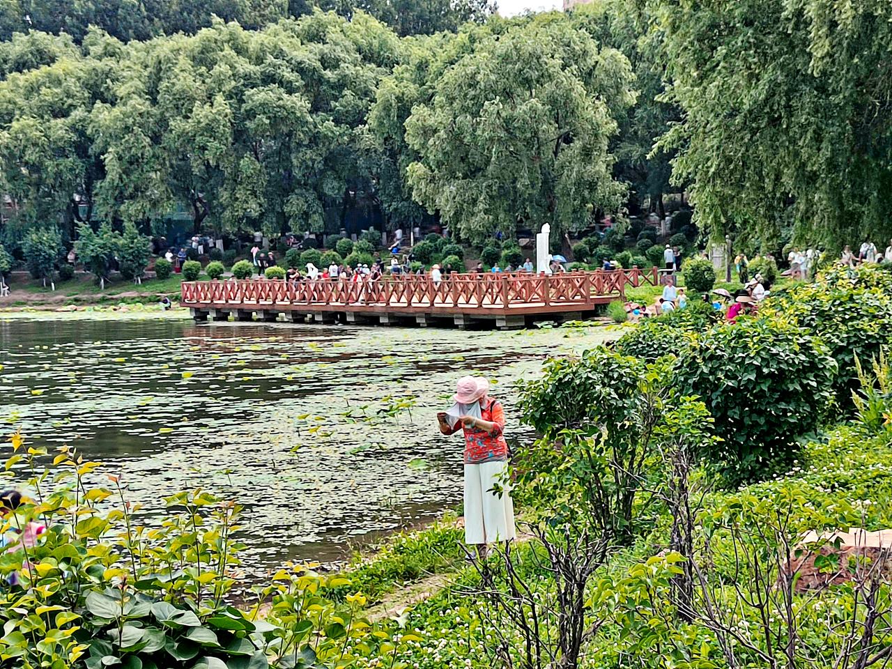 临水栈道的人们
    夏日时节，沈阳丁香湖公园水清树绿，人如潮涌，临水栈道更是