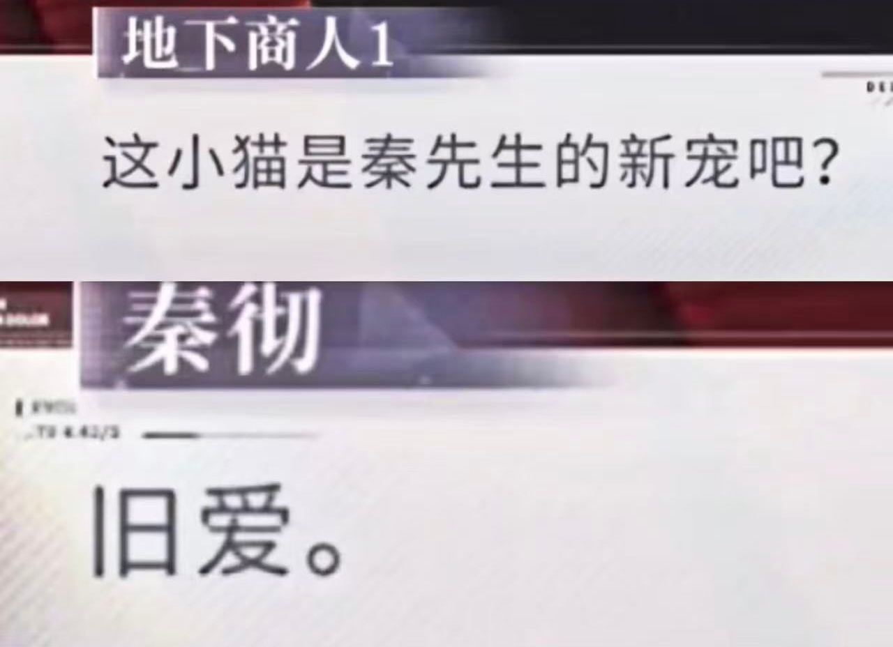 对的对的，是秦先生的，是我主人的