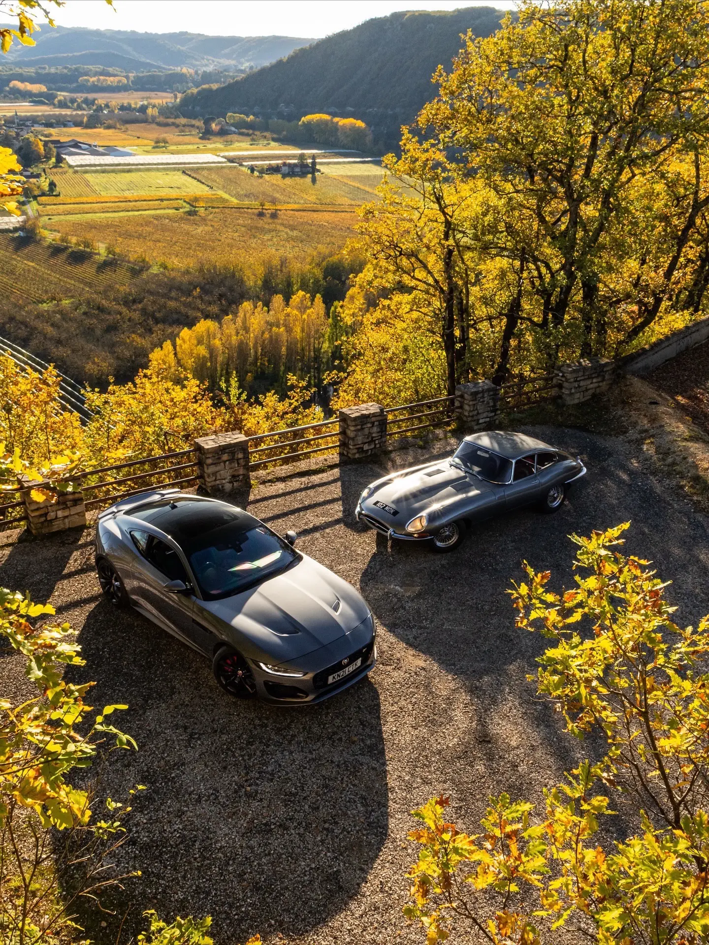 一老一少，携手跑山。