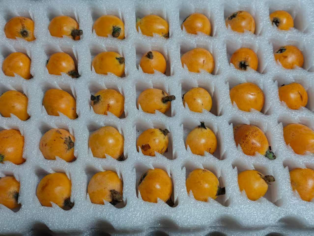 哇，昨天刚去塘栖摘完枇杷，今天零跑又给我寄了一箱塘栖枇杷，现在我们浙江人每天吃的