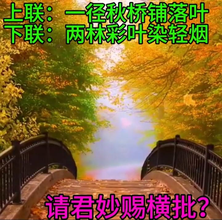 下联：枝摇夜露寒